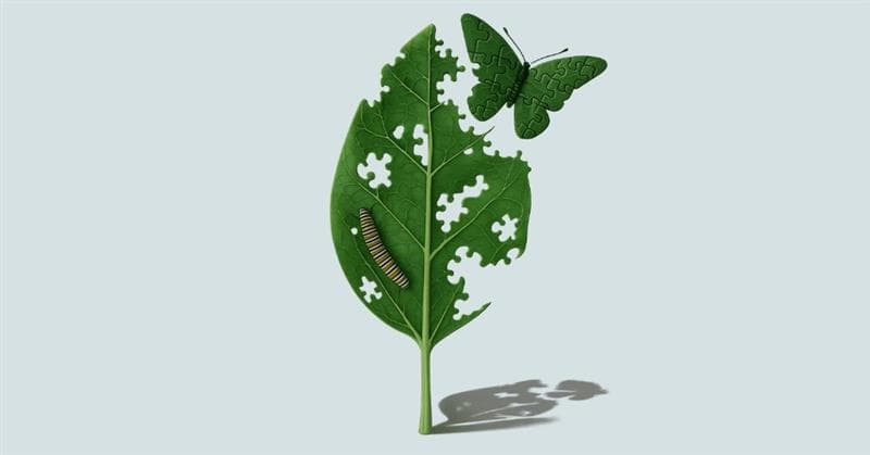 Sustainability Reporting in Singapore: Understanding ACRA and SGX